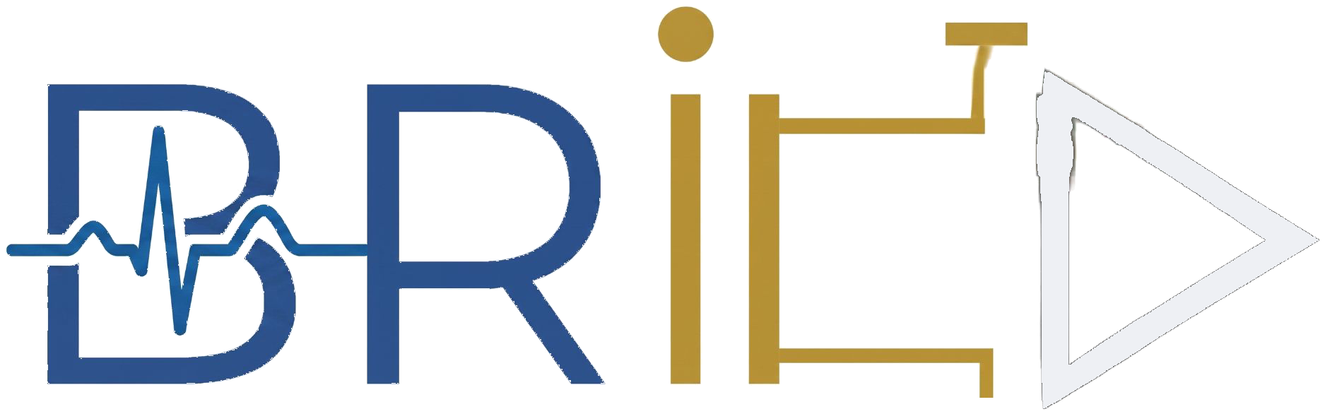 BRICD — Biomedical Research in Integrated Circuit Design