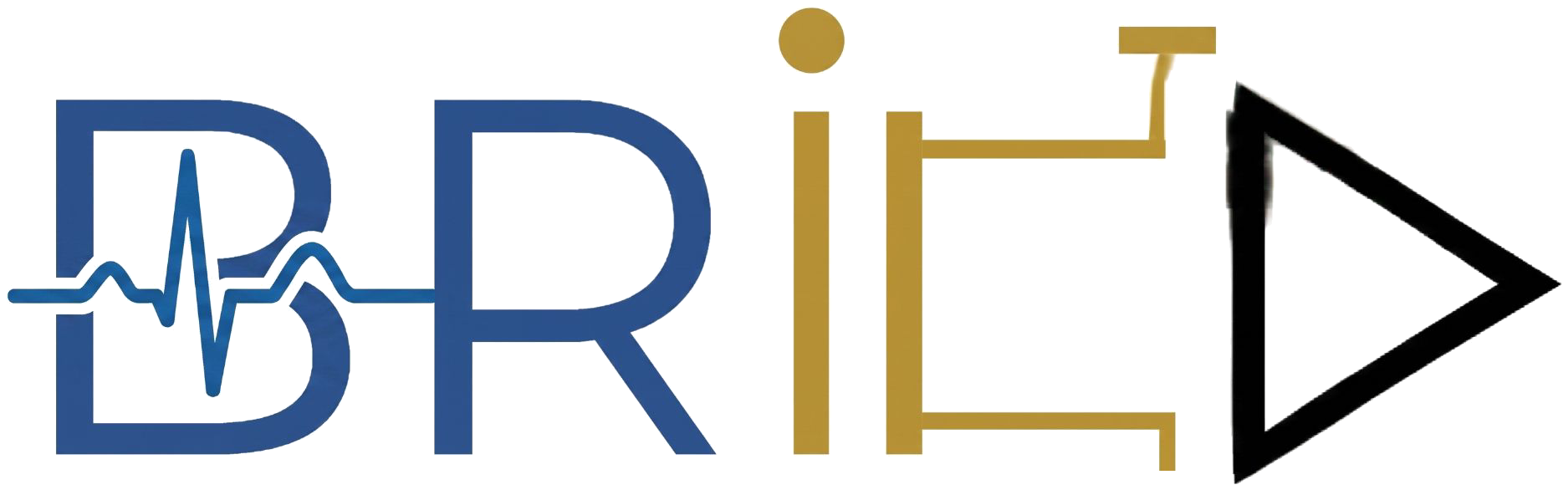 BRICD — Biomedical Research in Integrated Circuit Design